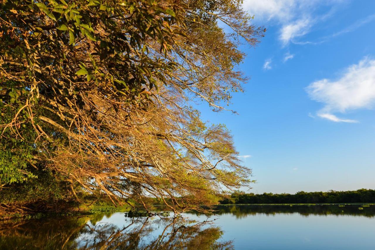 Pousada Rio Claro Poconé エクステリア 写真