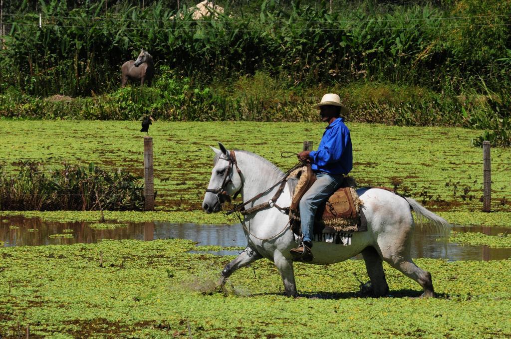Pousada Rio Claro Poconé エクステリア 写真