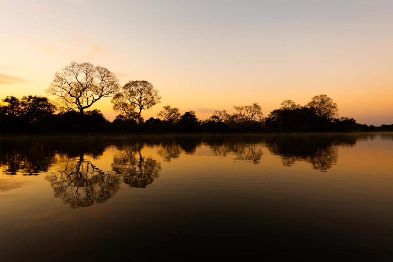 Pousada Rio Claro Poconé エクステリア 写真